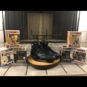 Retro Jordan 6 chameleon (used)